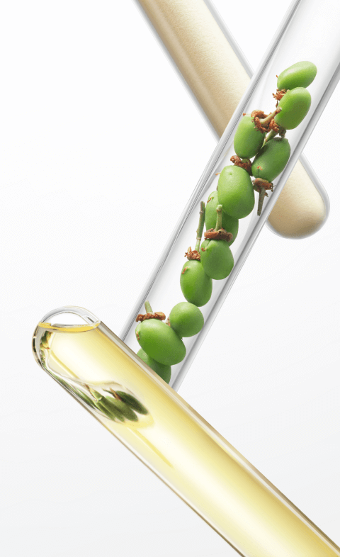 Botanical Science